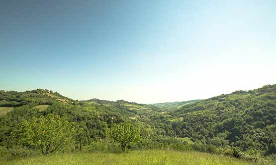 orticà-azienda-agricola-01 orticà-azienda-agricola-01