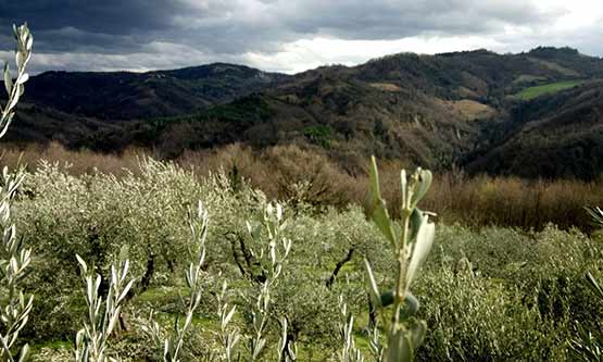 orticà-azienda-agricola-05 orticà-azienda-agricola-05